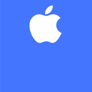 Cargadores Macbook
