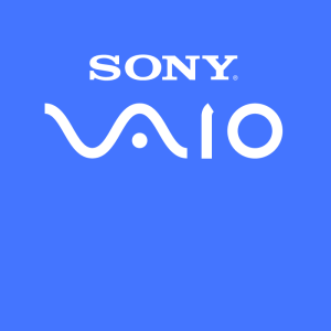 Flex de video Sony