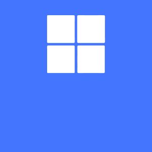 Cargadores Microsoft